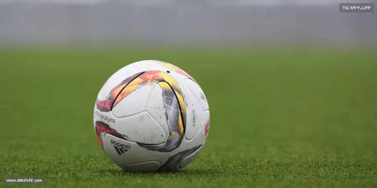 雷竞技——徒步旅行，探索自然🌿